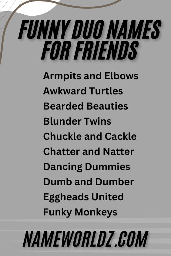 Funny Duo Names For Friends