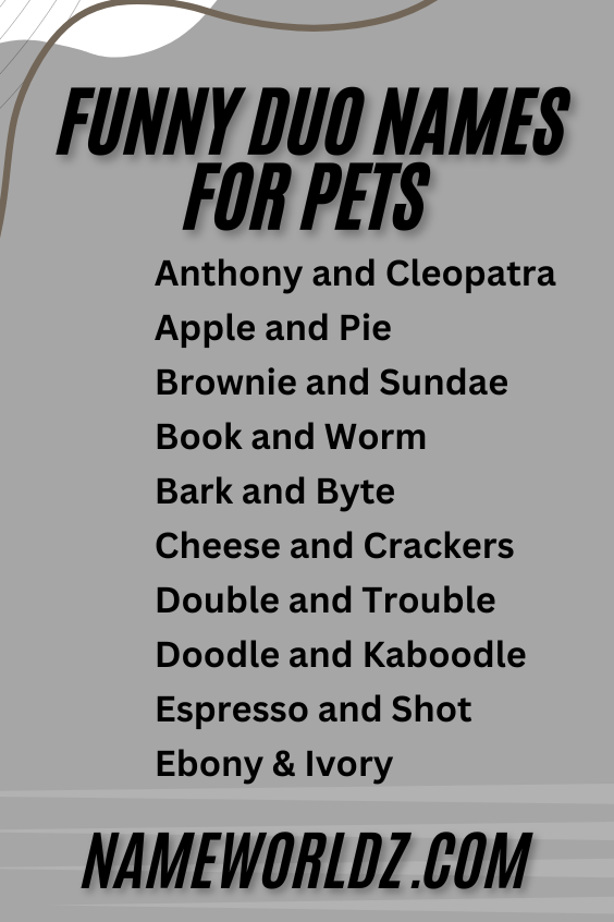 Funny Duo Names For Pets